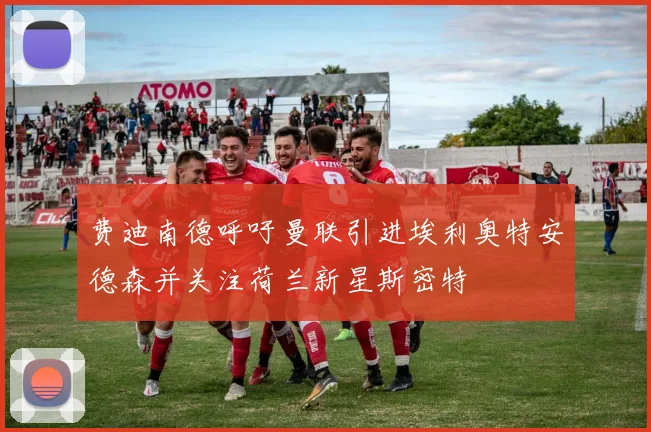 费迪南德呼吁曼联引进埃利奥特安德森并关注荷兰新星斯密特