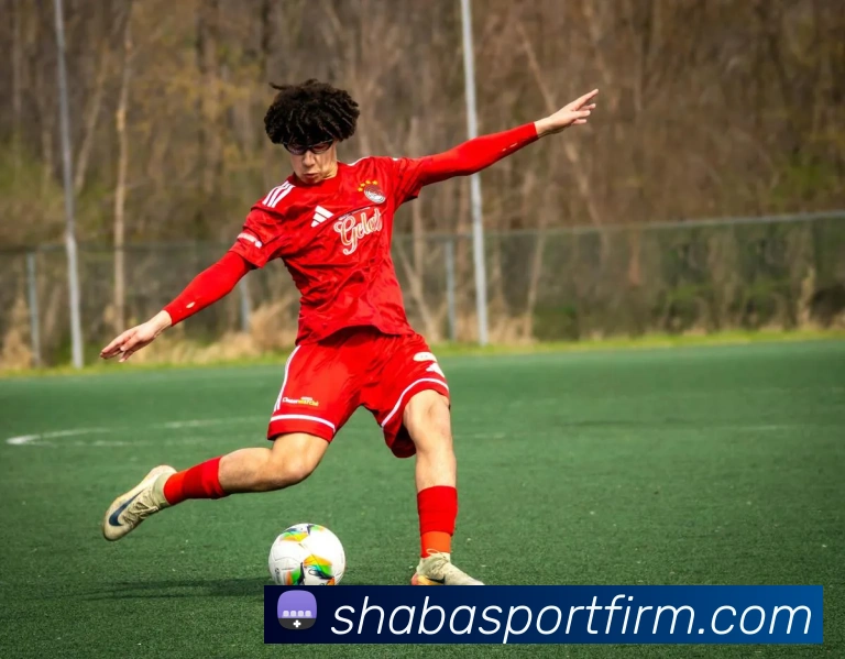 沙巴体育平台生态图