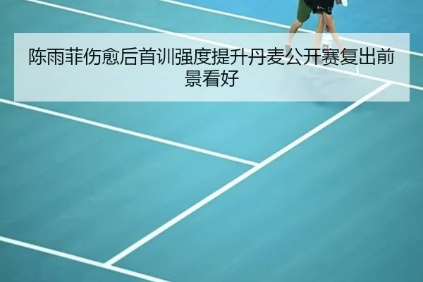 陈雨菲伤愈后首训强度提升丹麦公开赛复出前景看好 | SabaSports